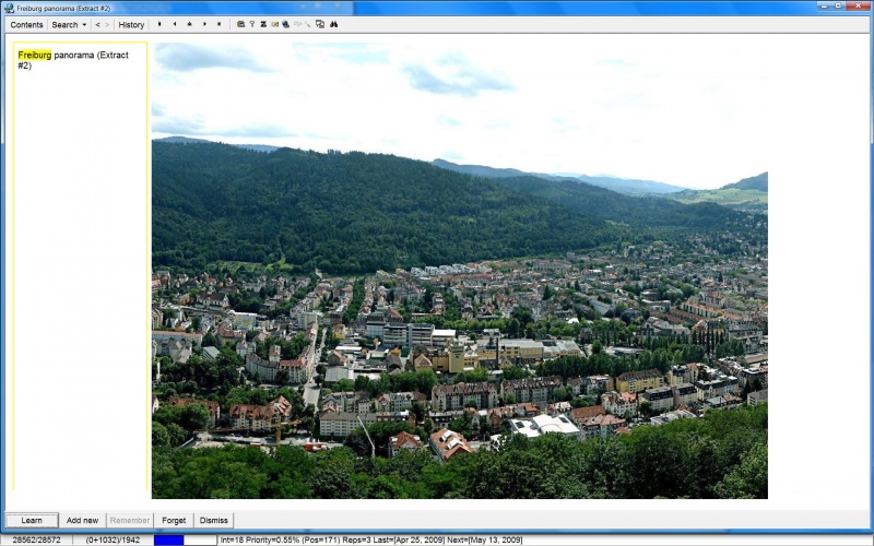 SuperMemo: The 2nd extract produced from the original picture of the Freiburg panorama (now small enough to view its details)