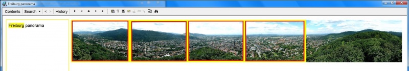 SuperMemo: The original picture of the Freiburg panorama (too large to view its details) from which 4 picture extracts (marked with bright yellow-red rectangles) have been produced