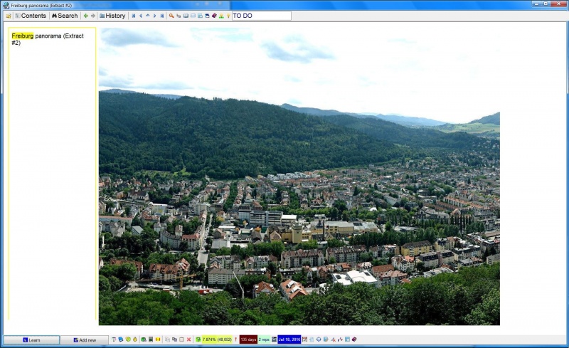 SuperMemo: The 2nd extract produced from the original picture of the Freiburg panorama (now small enough to view its details)