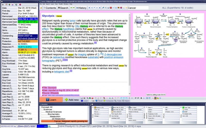 The main SuperMemo windows and toolbars at the Professional level