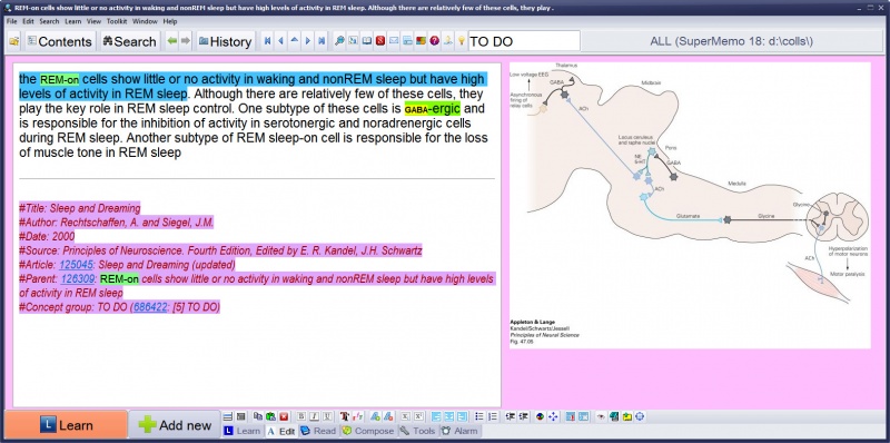 SuperMemo: References help you quickly recover the context of a given element as well as track its source and build a list of citations (in the picture: blue marks an incremental reading extract, yellow marks a search string (i.e. GABA-ergic), while pink marks the reference field, which will propagate to all children elements (extracts and clozes))